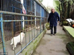 岁月静好：70岁老人守护寒酸动物园的坚守与温情