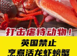英国立法禁止活龙虾沸水煮：动物福利新规引发行业变革