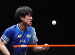 “向鹏0比3不敌张本智和：世界冠军的遗憾之战”